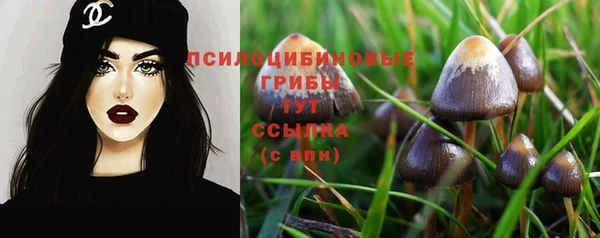 дмт Протвино