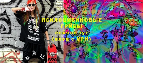 дмт Протвино