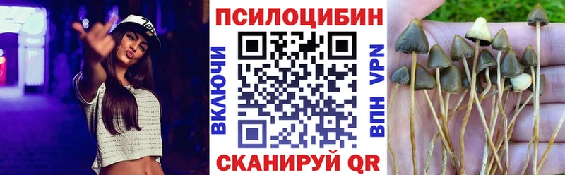 Купить где  Санкт-Петербург  Псилоцибиновые грибы MAGIC MUSHROOMS